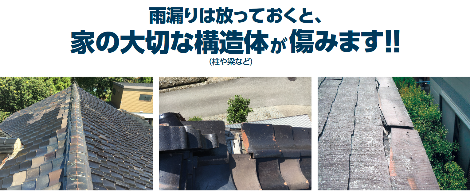 家の大切な構造体が痛みます!!